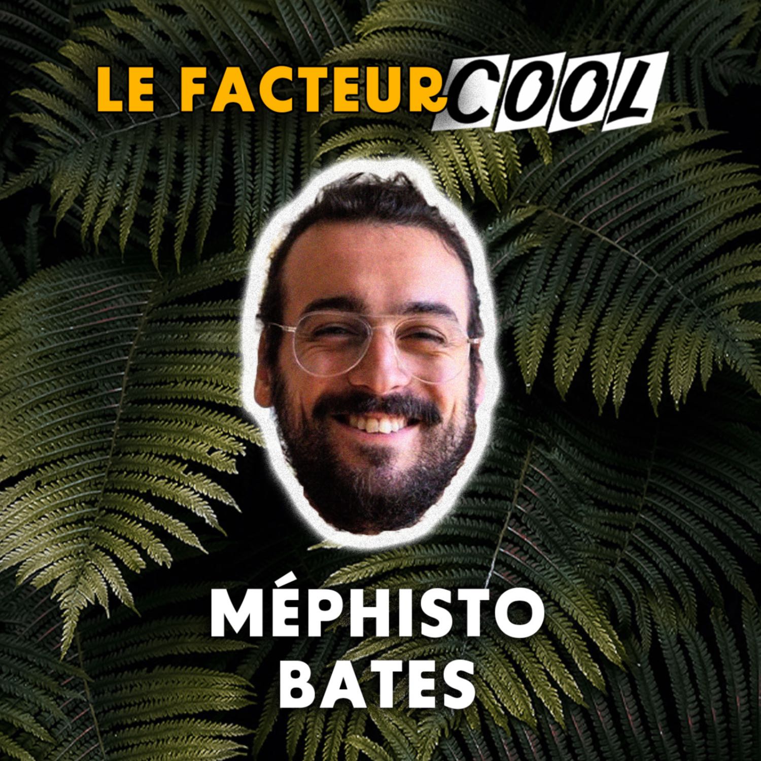 Le Facteur Cool