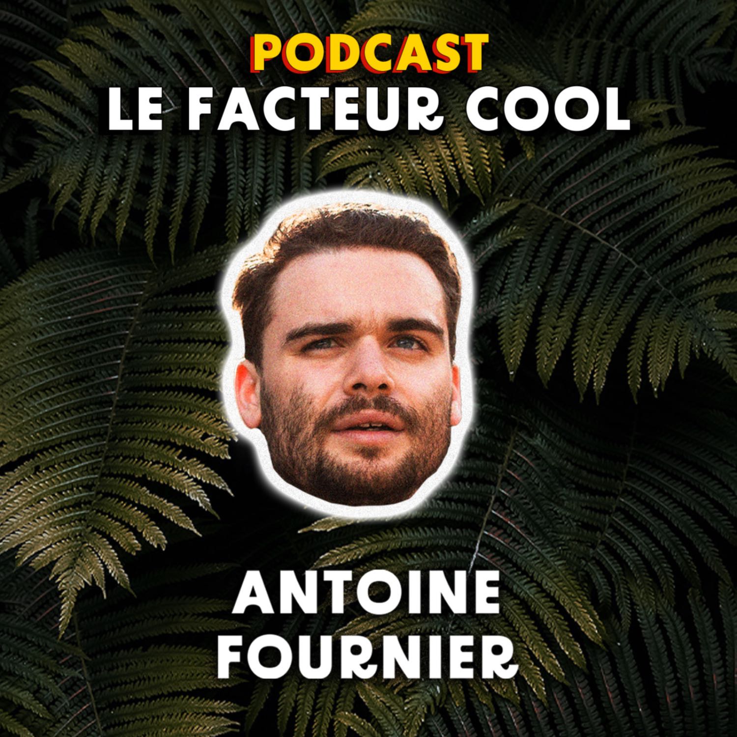 Le Facteur Cool