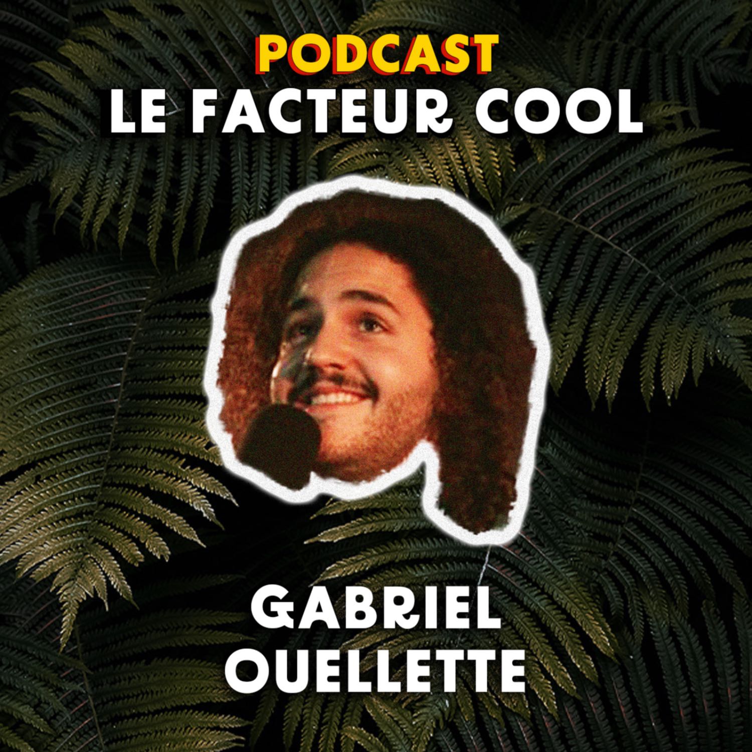 Le Facteur Cool