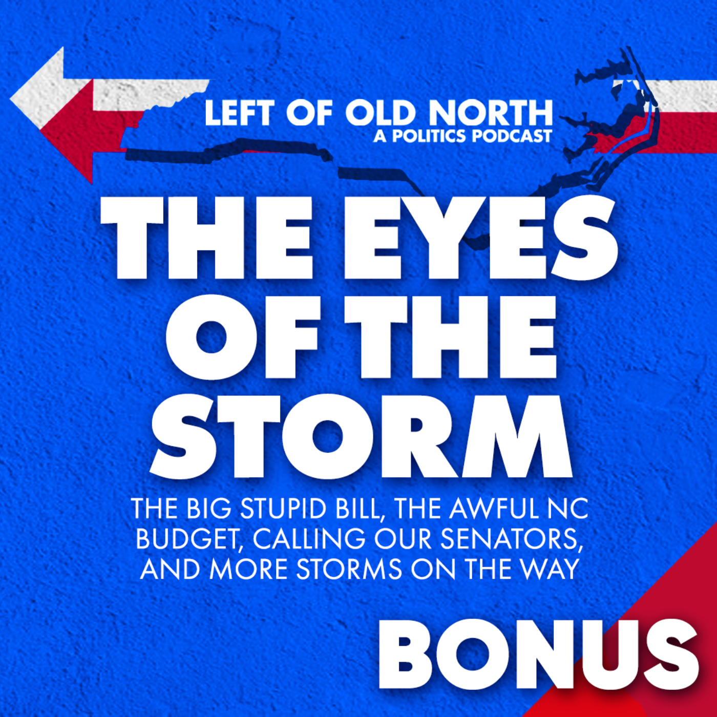 The Eyes of the Storm: The Big Stupid Bill, the Awful NC Budget, Calling Our Senators, and More