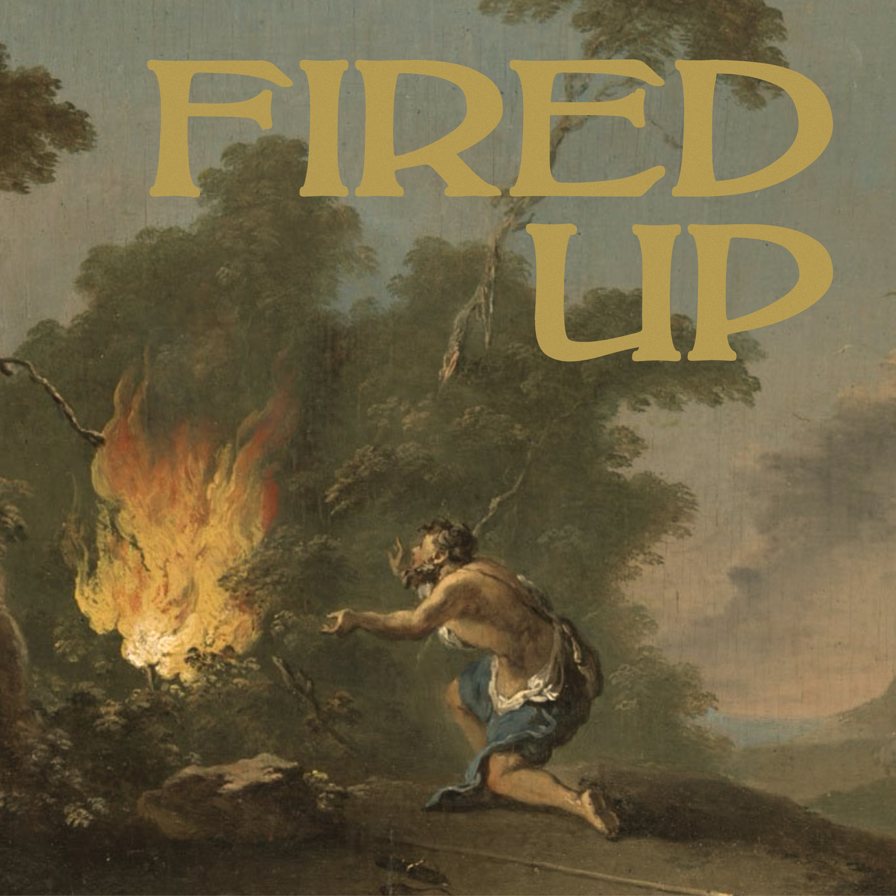 Fired Up: Where Does The Power Come From?  episode artwork