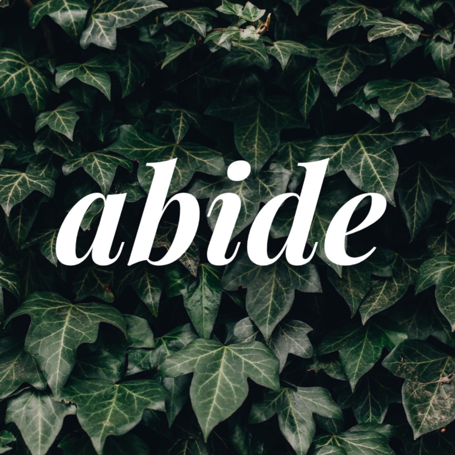 Abide - His Thoughts, His Words Part 2 | Pastor Tony Núñez | June 4th, 2023