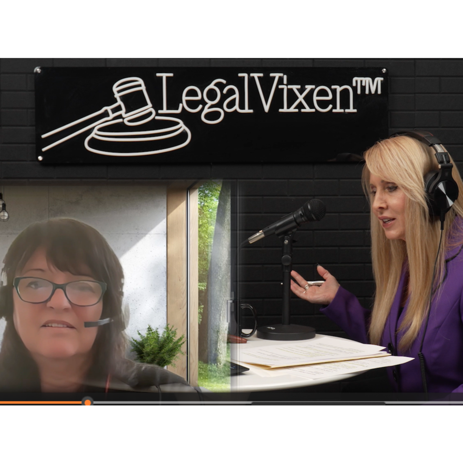 Leah's Story: From Arrest for a Federal Conspiracy Through Jury Trial and Being Set Free on Appeal