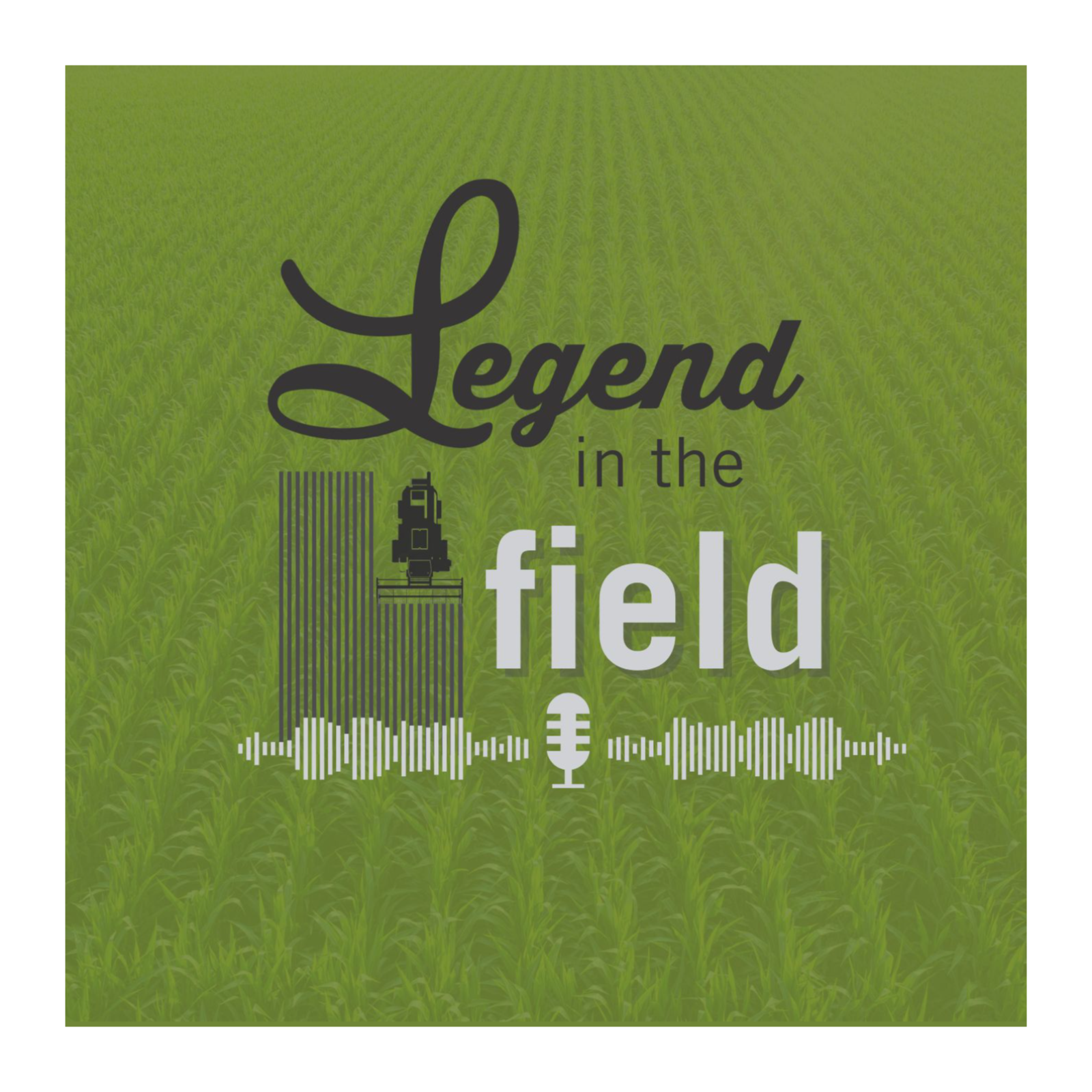 Episode #5: Silage First, Harvest Second: Crunching the Numbers on Lineup and Selection