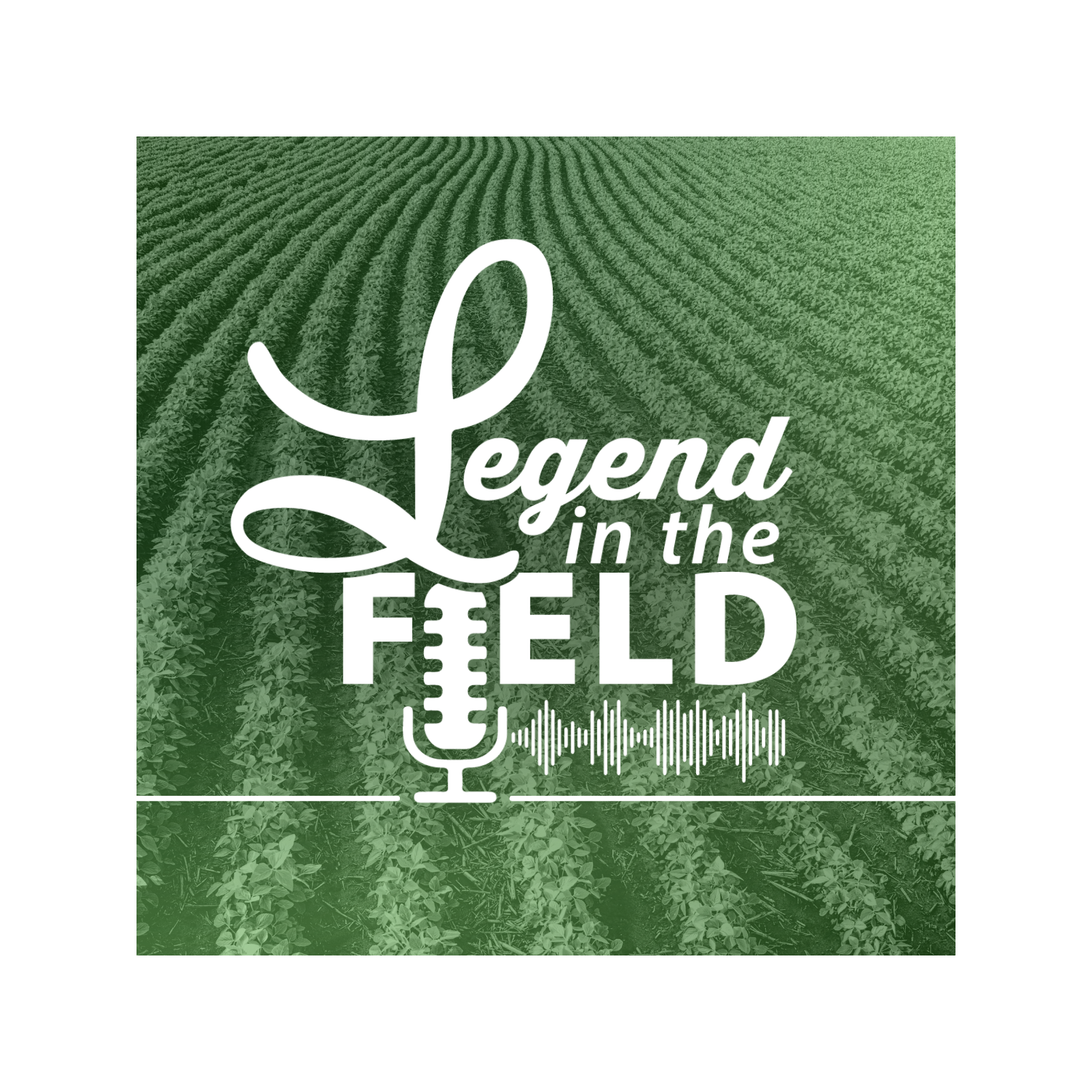 Chris Graf & Tom Tregunno: N-Physis on All Row Crops episode artwork