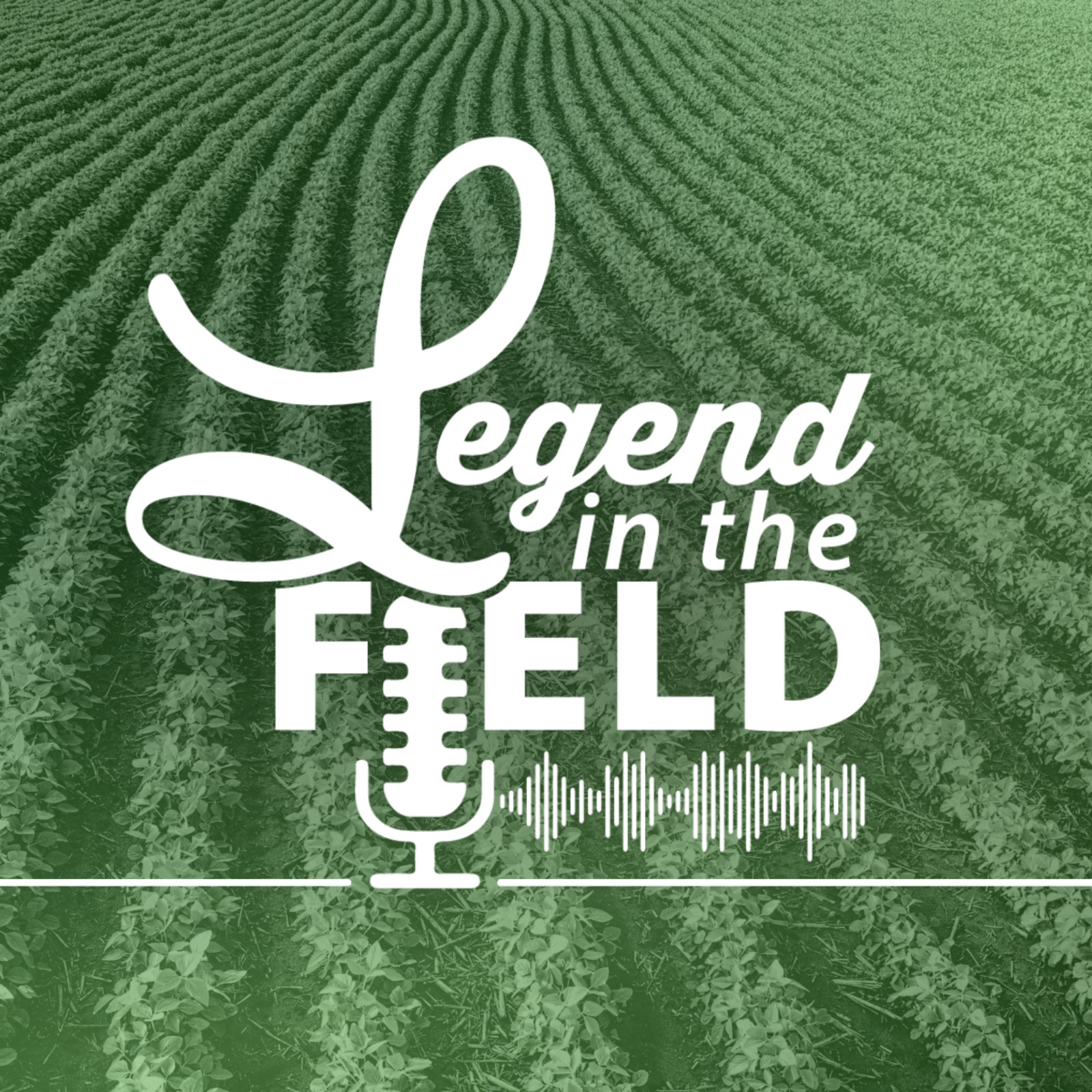 Legend Seeds Agronomy Team: Growing Season Update 9.8.26