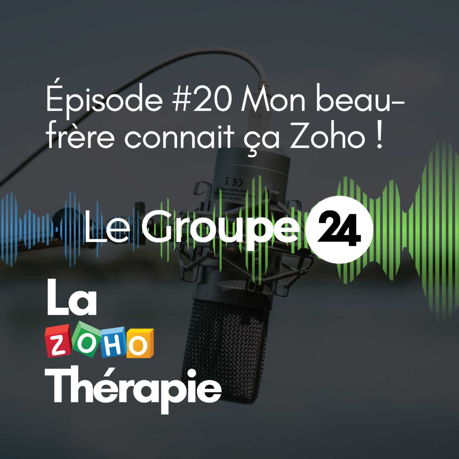 Épisode 20 - Mon beau-frère connait ça Zoho !