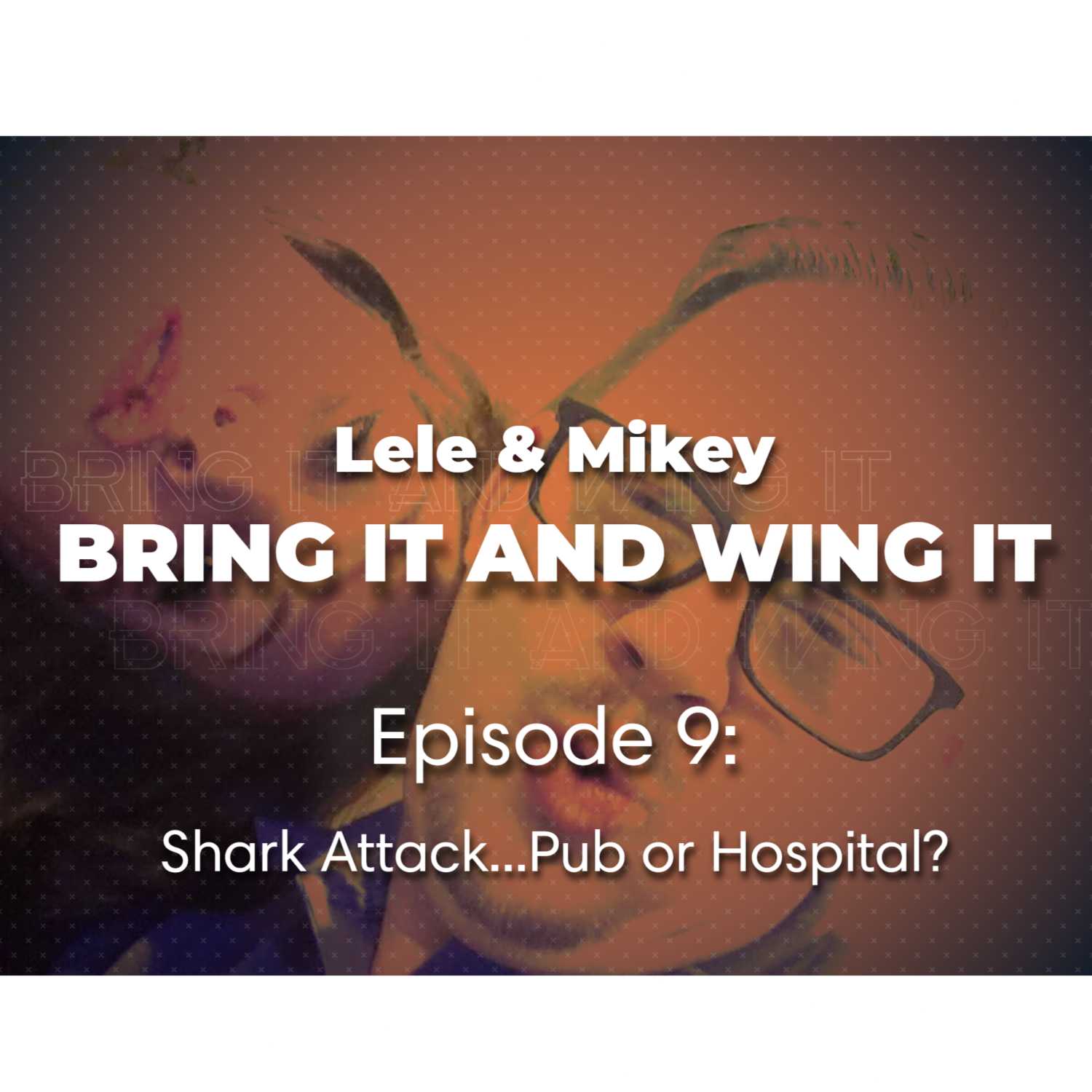 Lele and Mikey: Bring It and Wing It