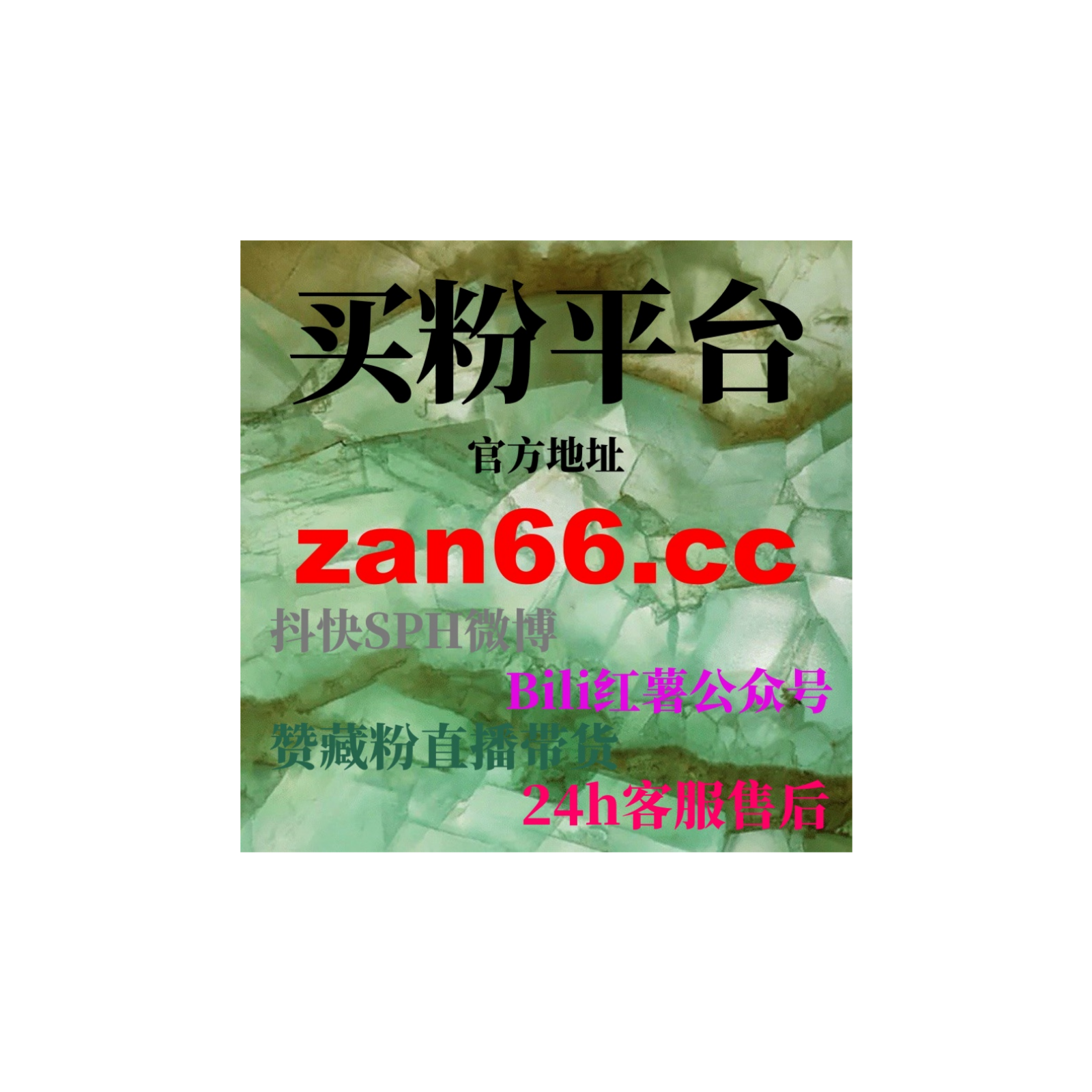 视频号刷粉丝软件：如何利用刷粉丝软件提高视频号粉丝数和互动率