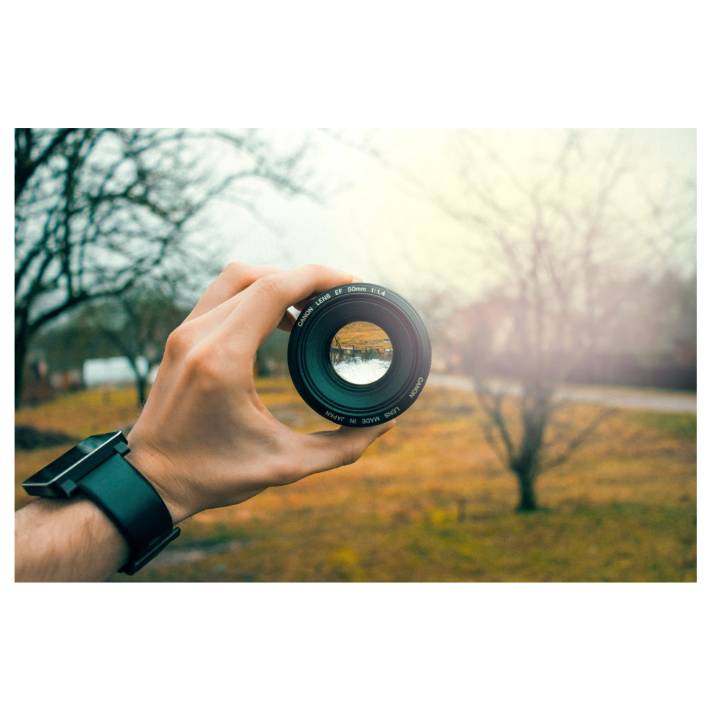 Lens 