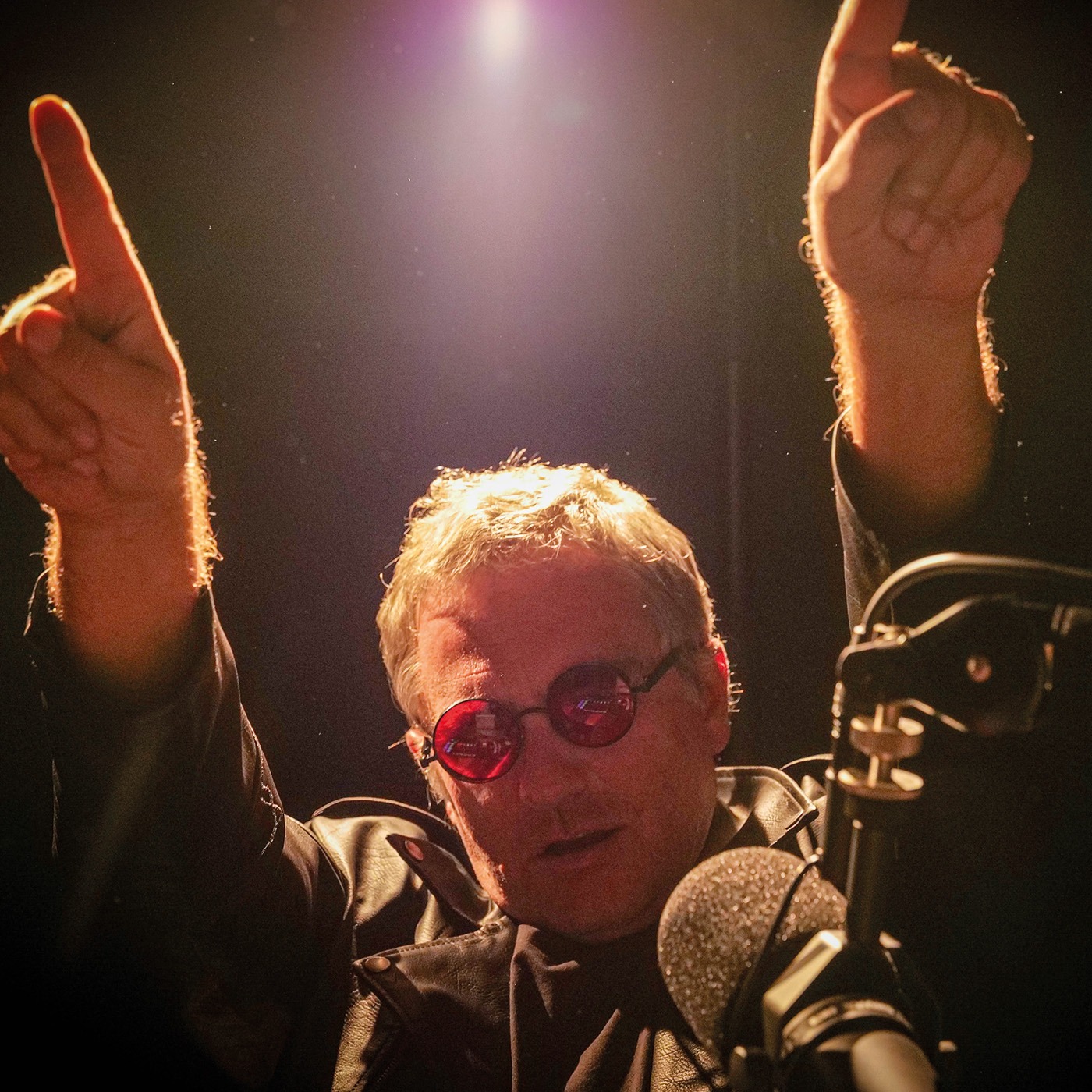 LES LEGENDES DU ROCK