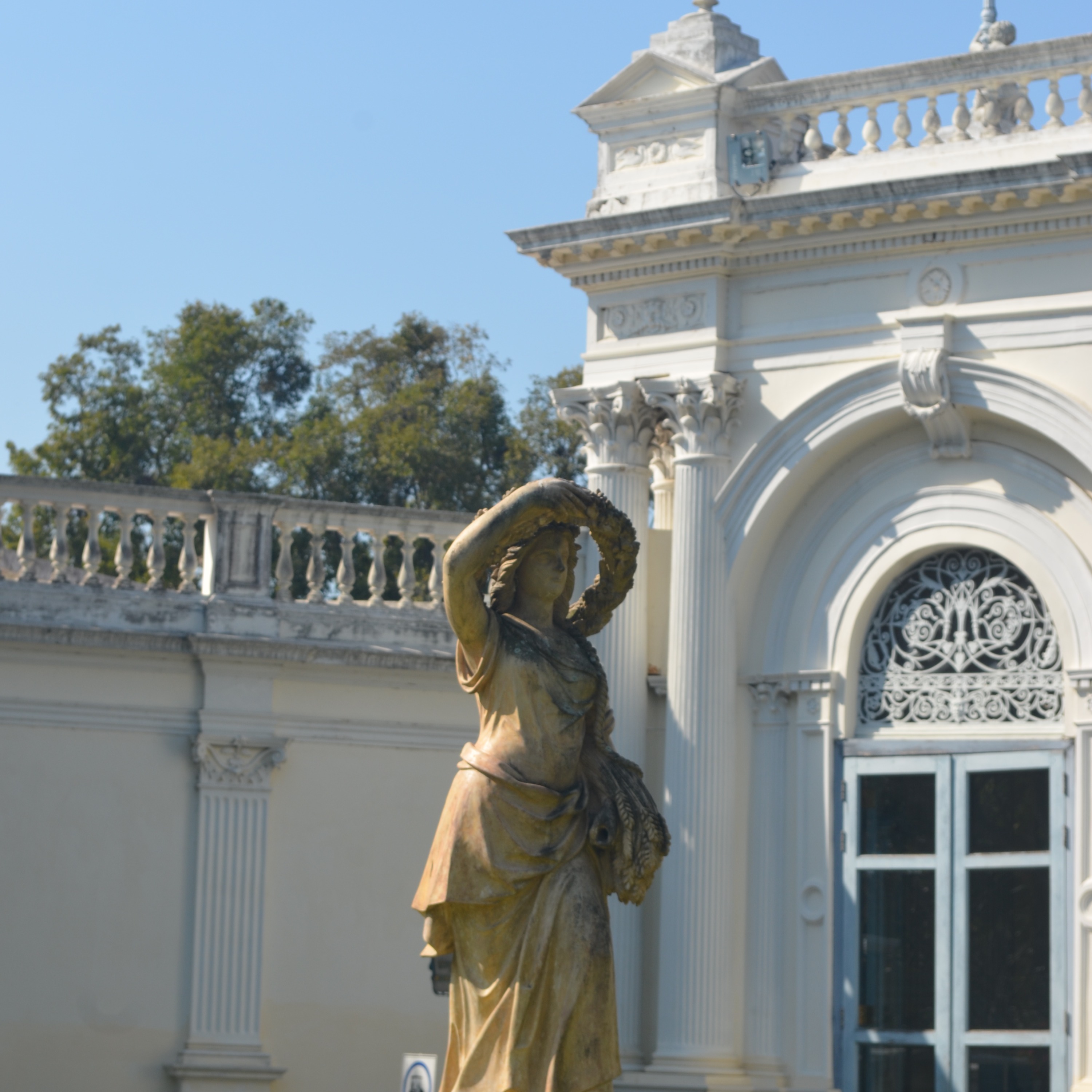 Life? It's My First Time Too.