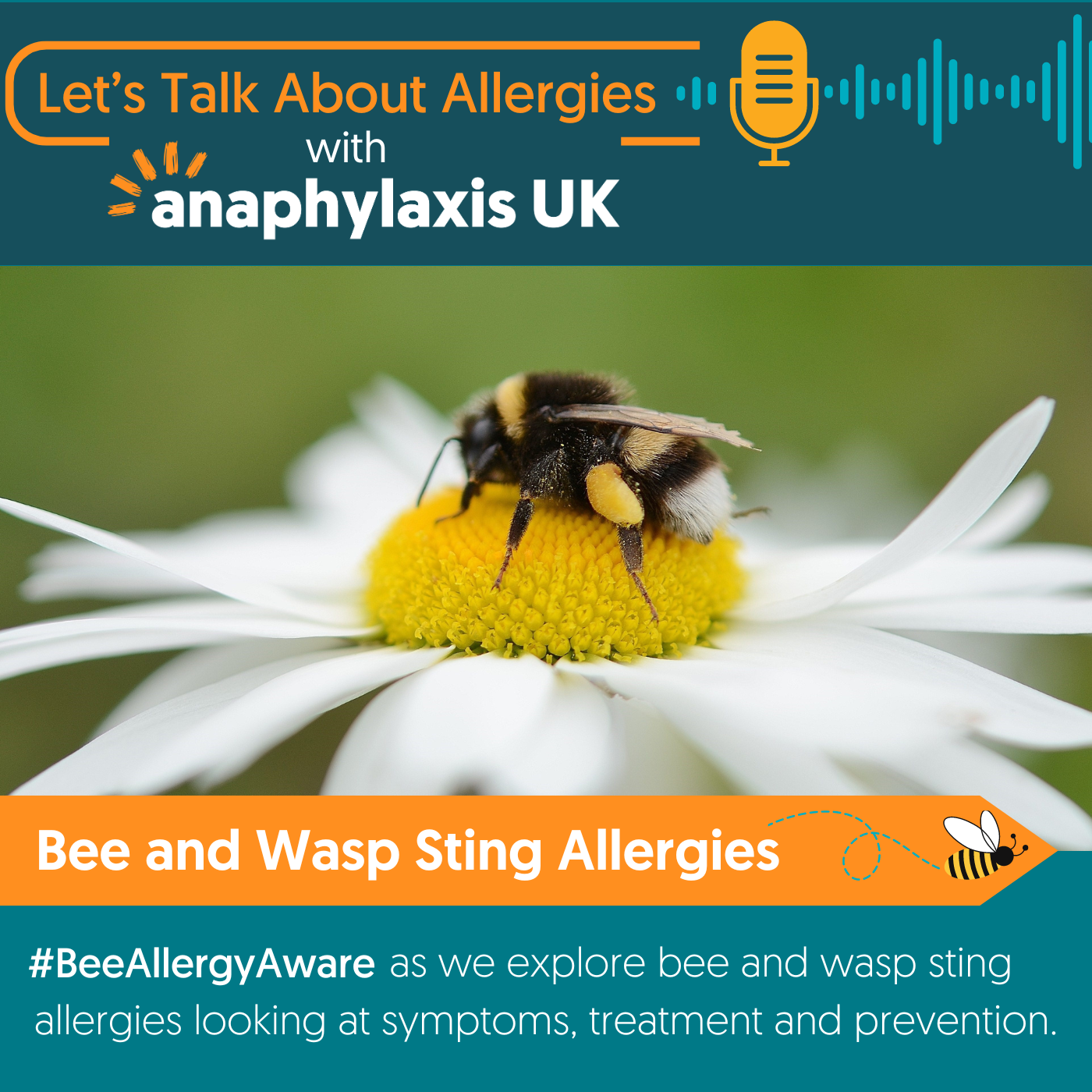 Allergies to Bee & Wasp Stings - Our 2023 Bee & Wasp Venom Awareness Campaign