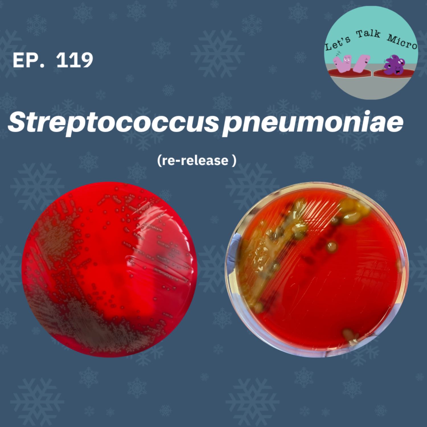 119: Streptococcus pneumoniae (re-release)