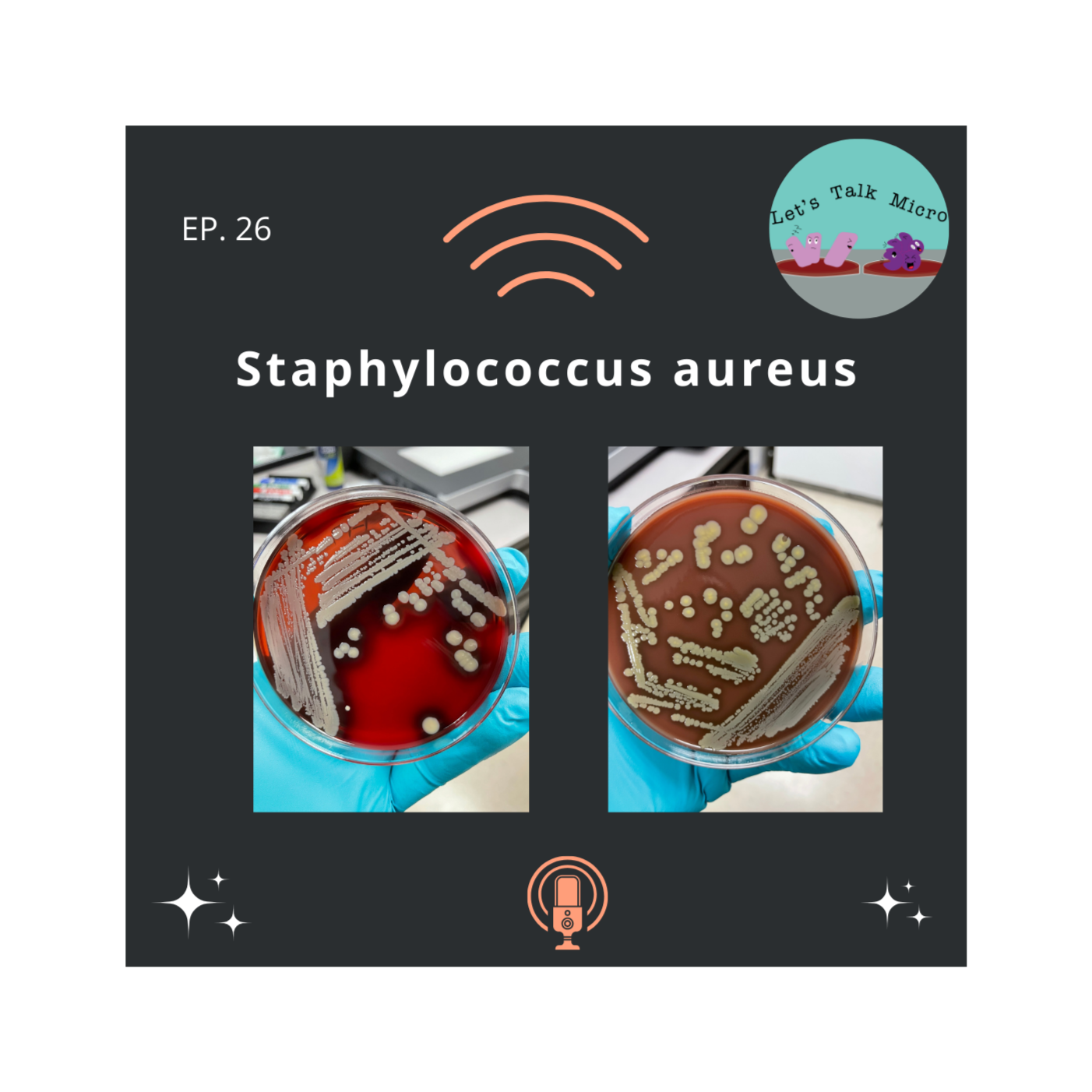 Episode 26: Staphylococcus aureus