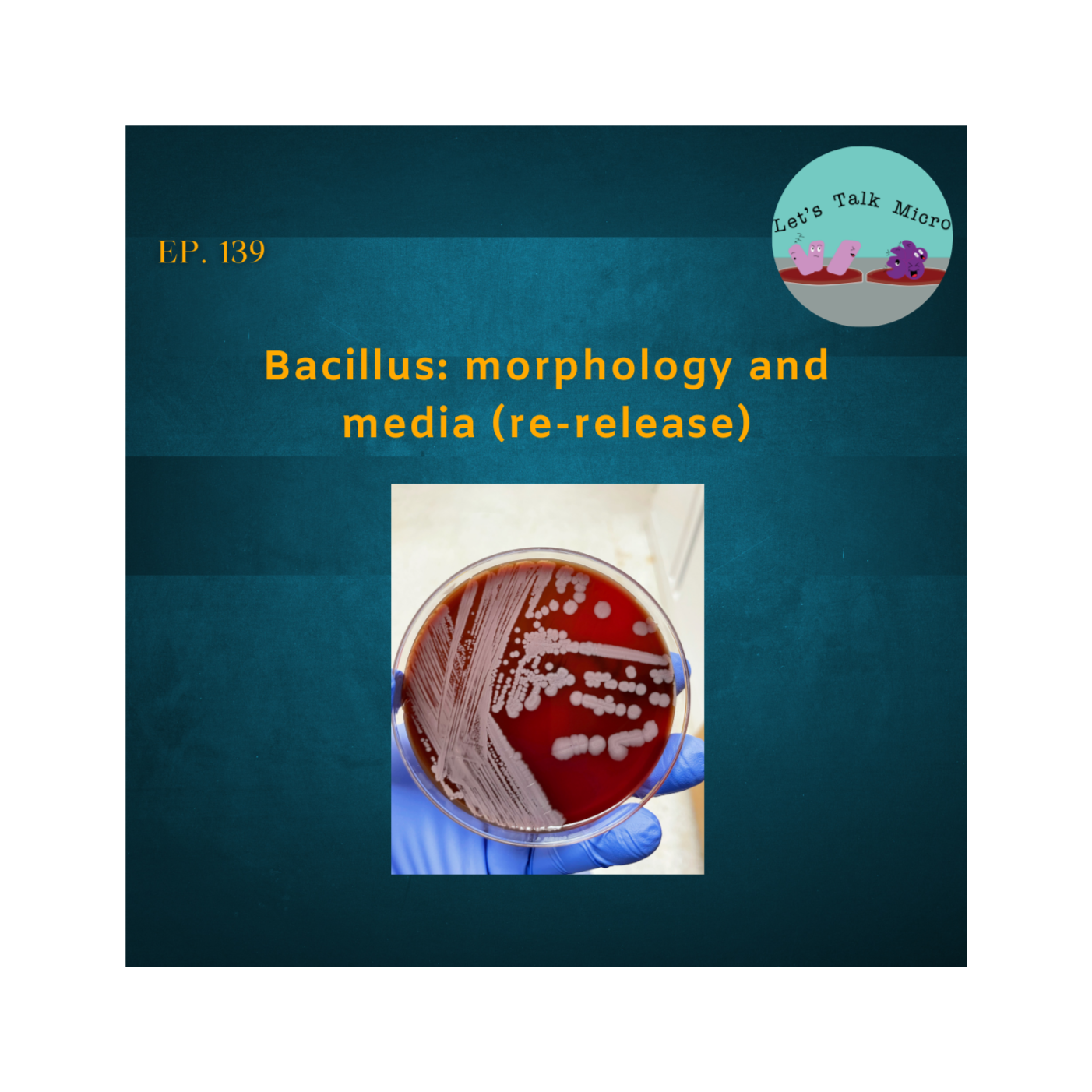 139: Bacillus: morphology and media