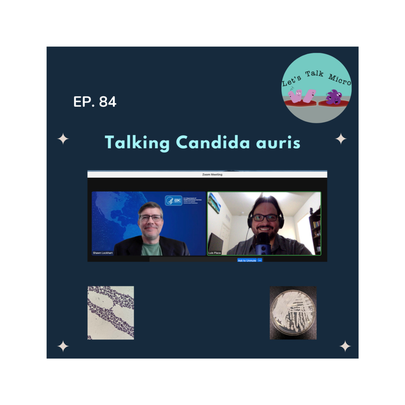 84: Talking Candida auris
