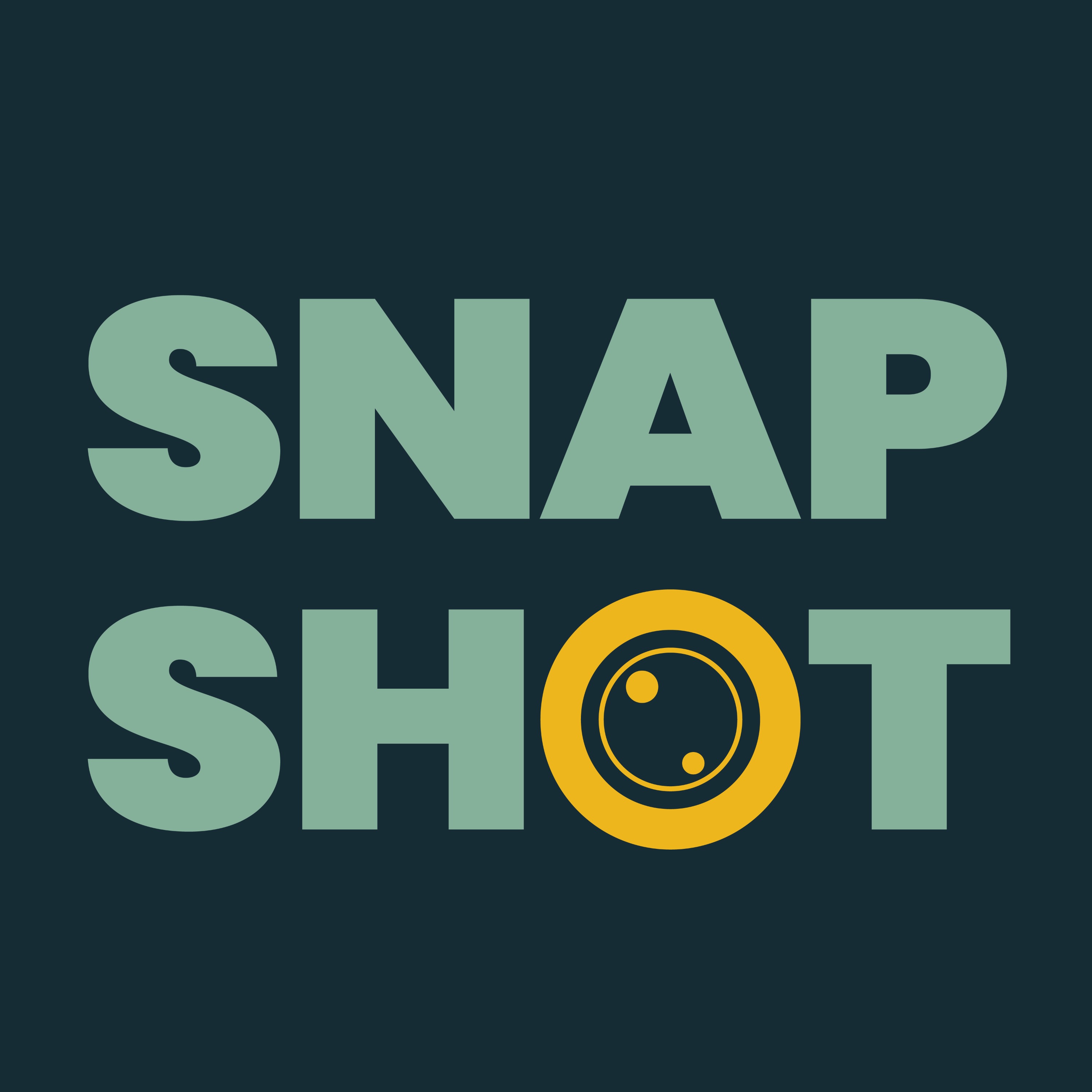 Snapshot -  Voices from Photography, Cinema, and the Arts