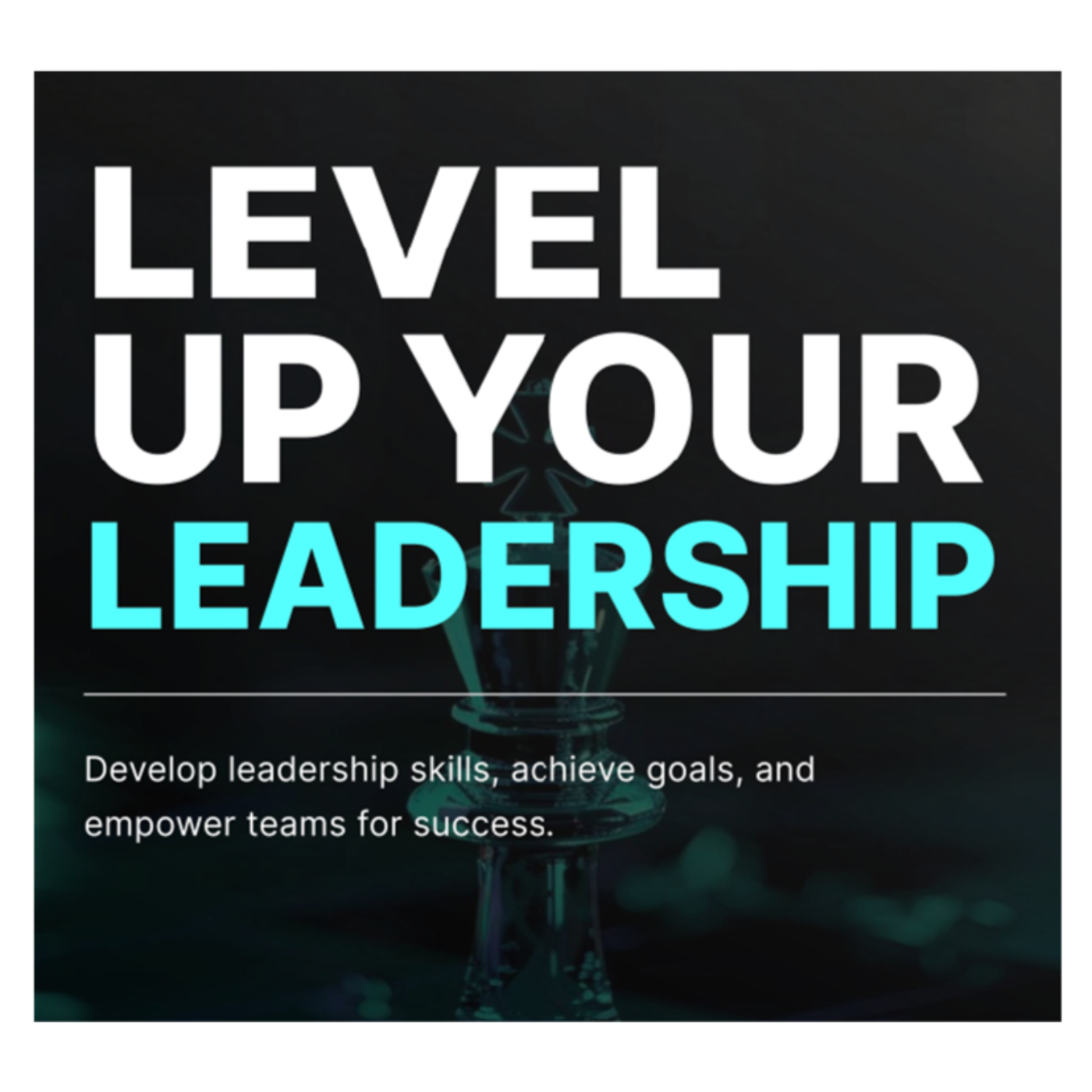 LEVEL UP Leadership