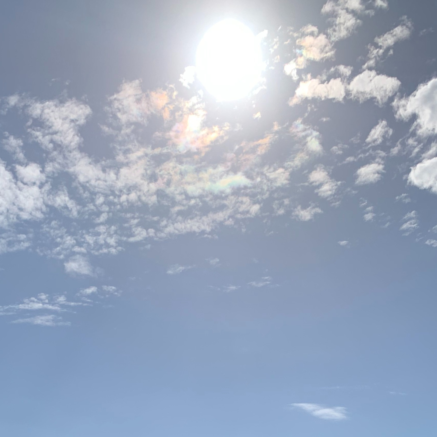 S5 Ep11: Sun Is Shining & So Are You! (#227)