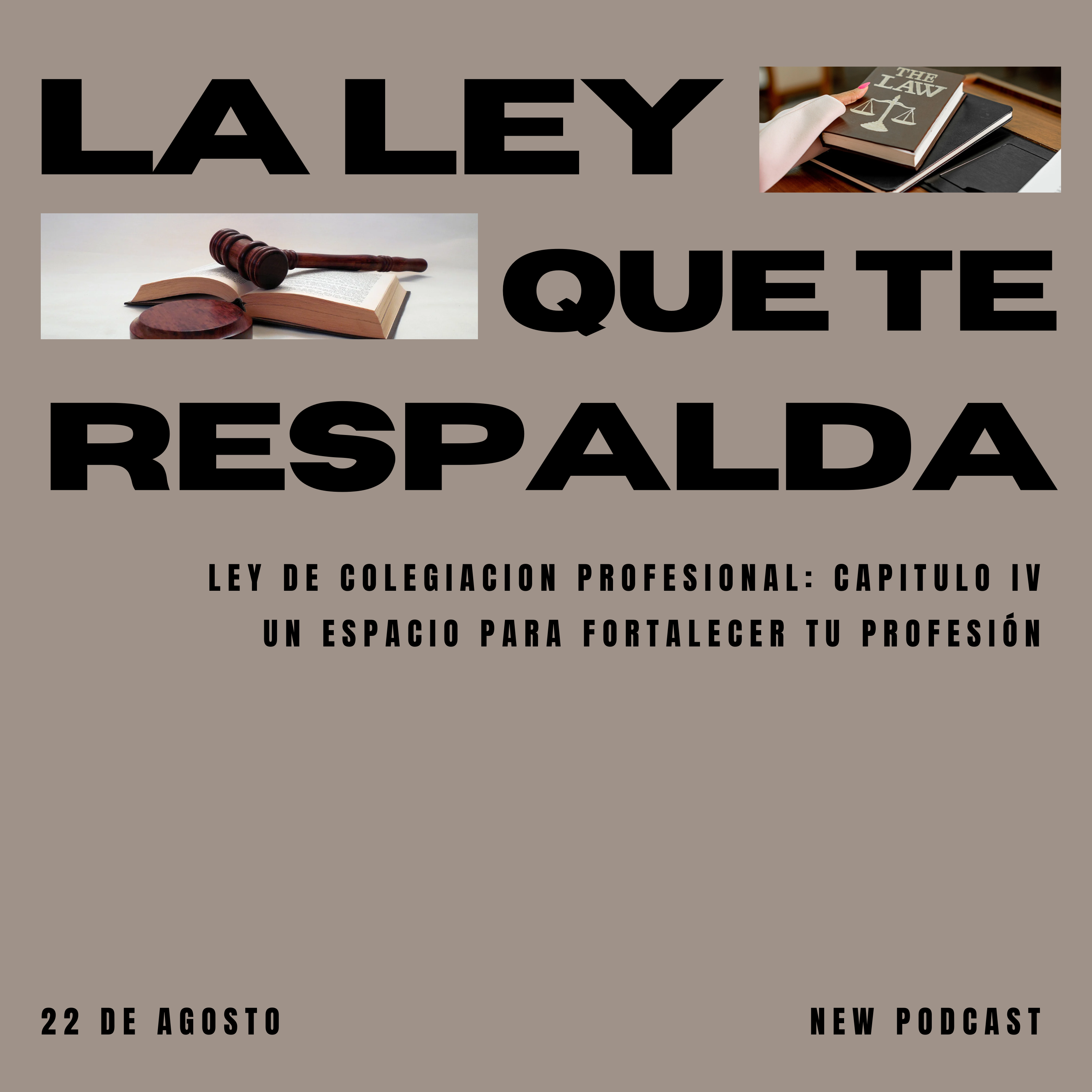 LEY DE COLEGIACIÓN - Episodio 01 - EL LADO ECONÓMICO DE LA PROFESIÓN episode artwork