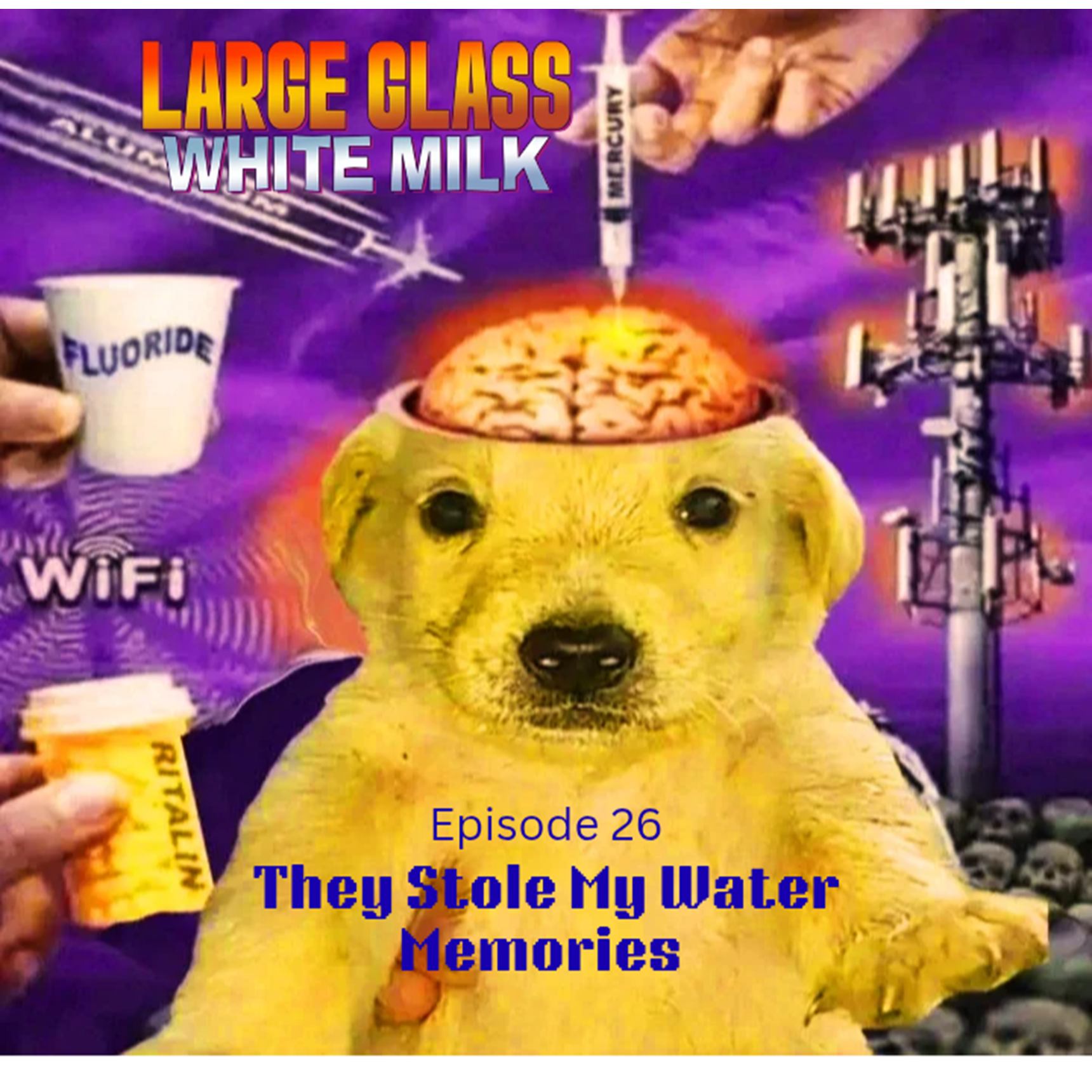 They Stole My Water Memories episode artwork