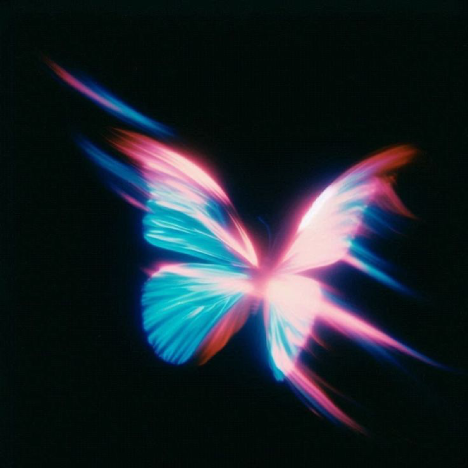 To Mask A Butterfly  episode artwork