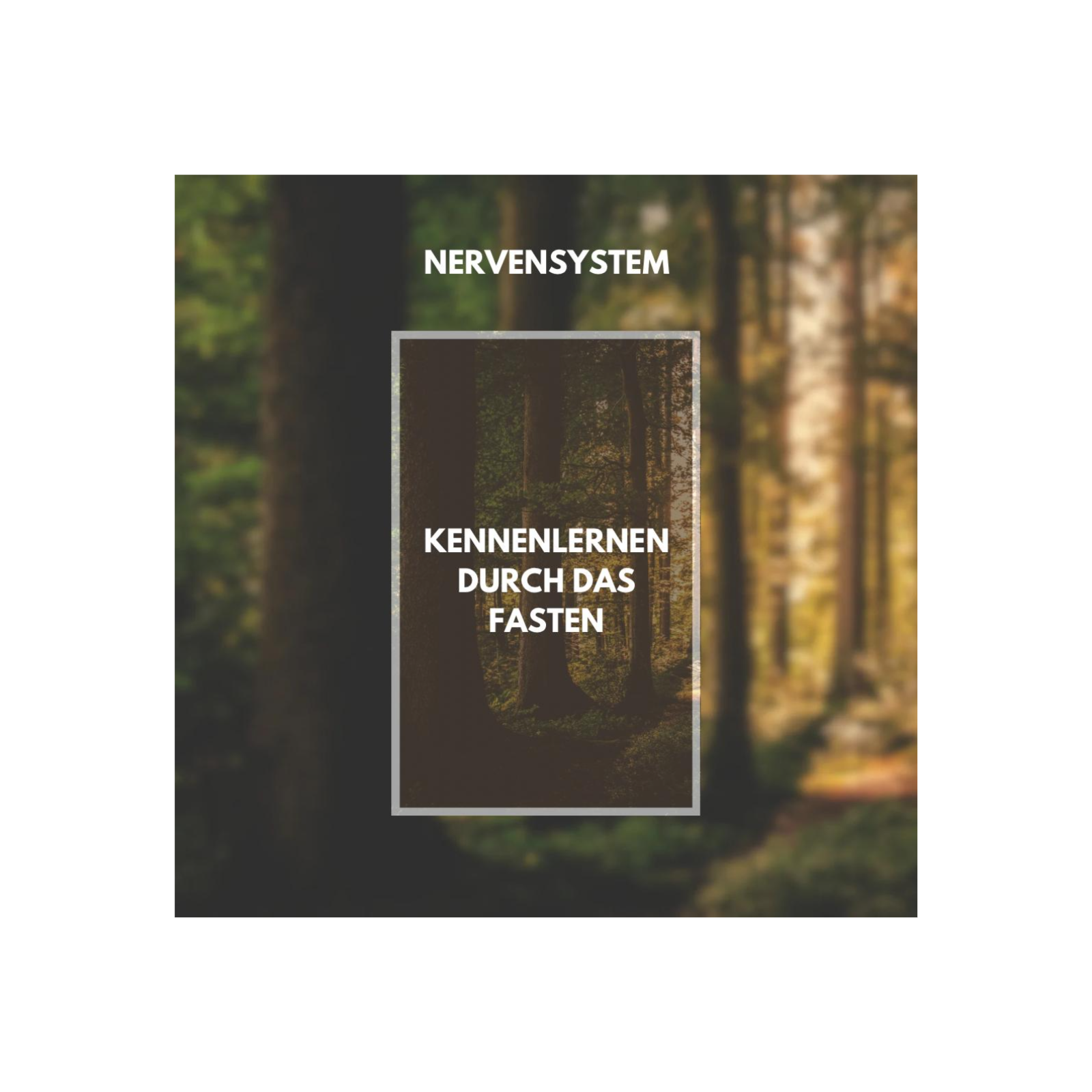 Nervensystem kennenlernen durch das Fasten episode artwork