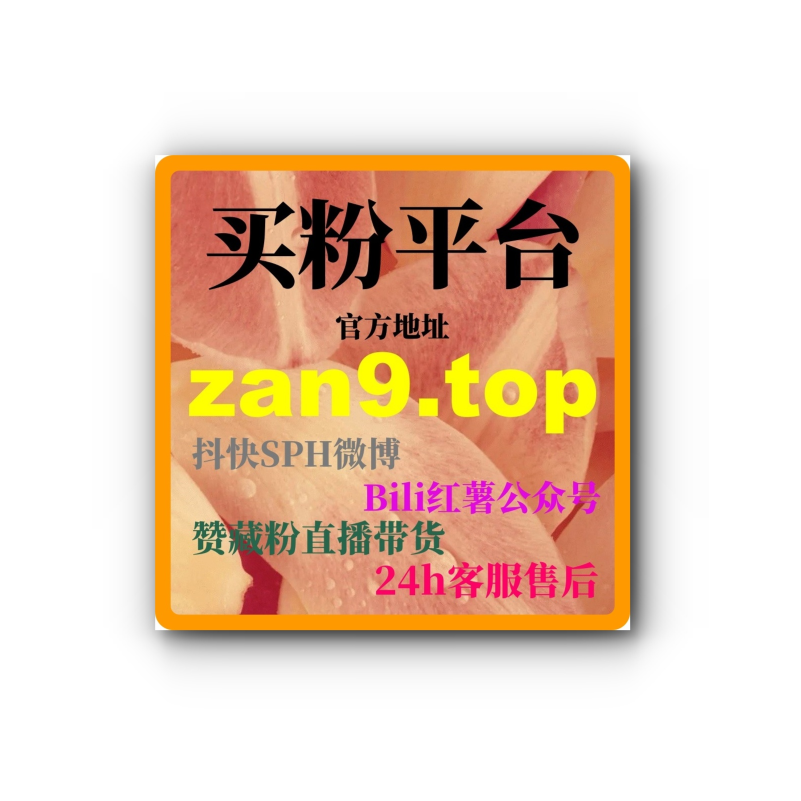 智能涨粉工具提升微博话题关注、小红书真人粉及抖音完播等多场景内容增长 episode artwork