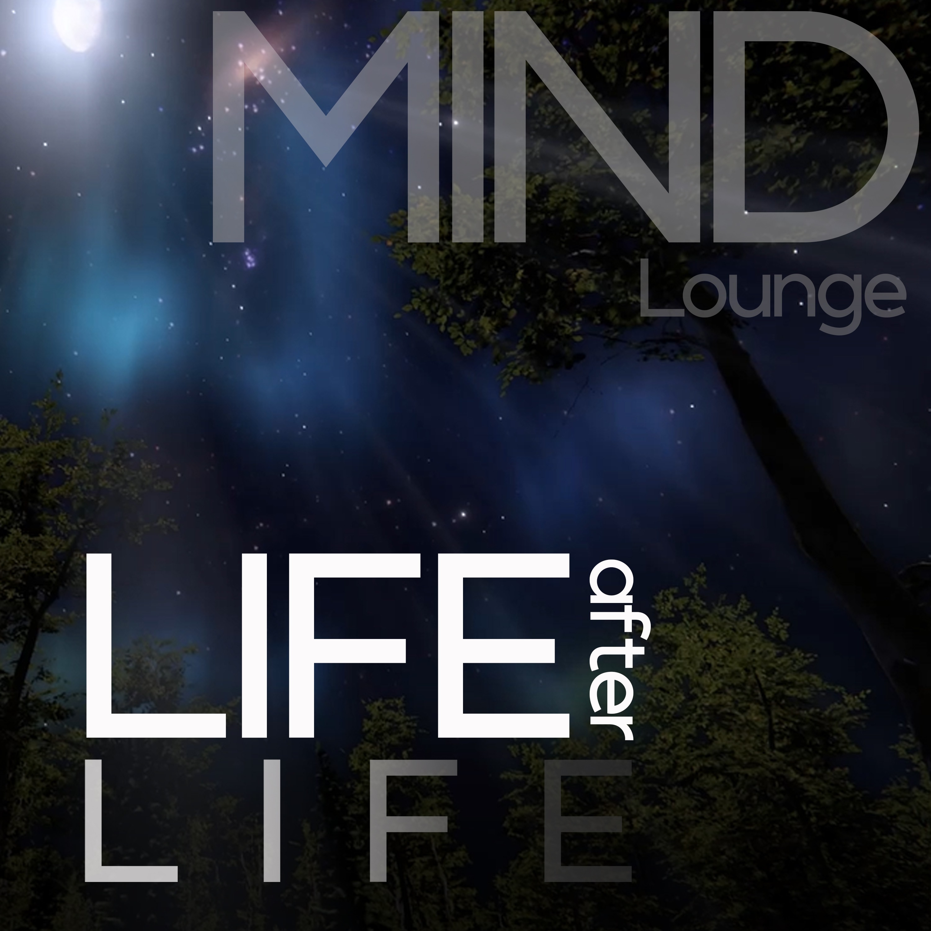 Life After Life cover art