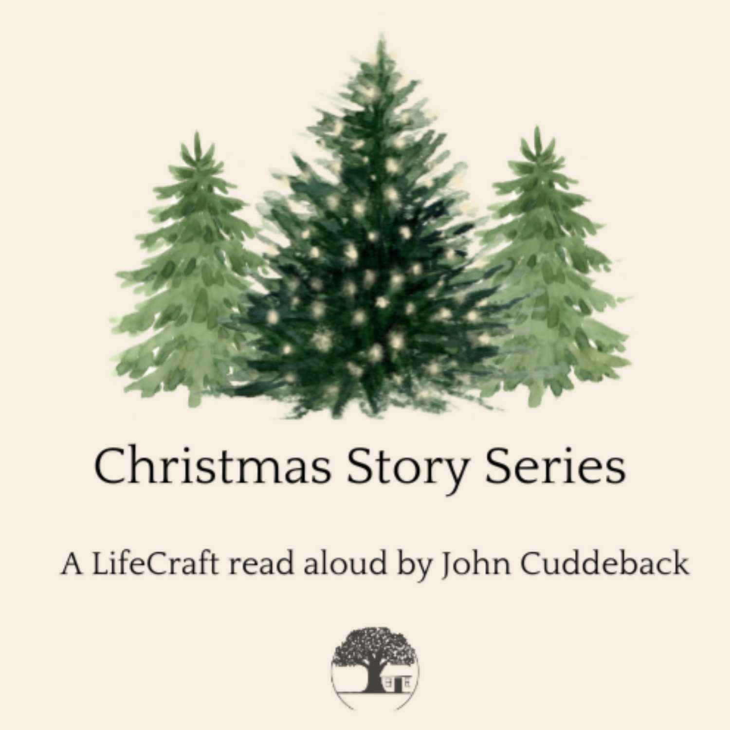 LifeCraft Christmas Story Series