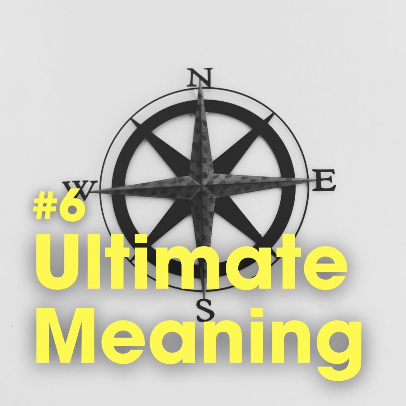 Ep #6 - Ultimate Meaning (Part 1 of the Lifefulness Mini-Series) episode artwork
