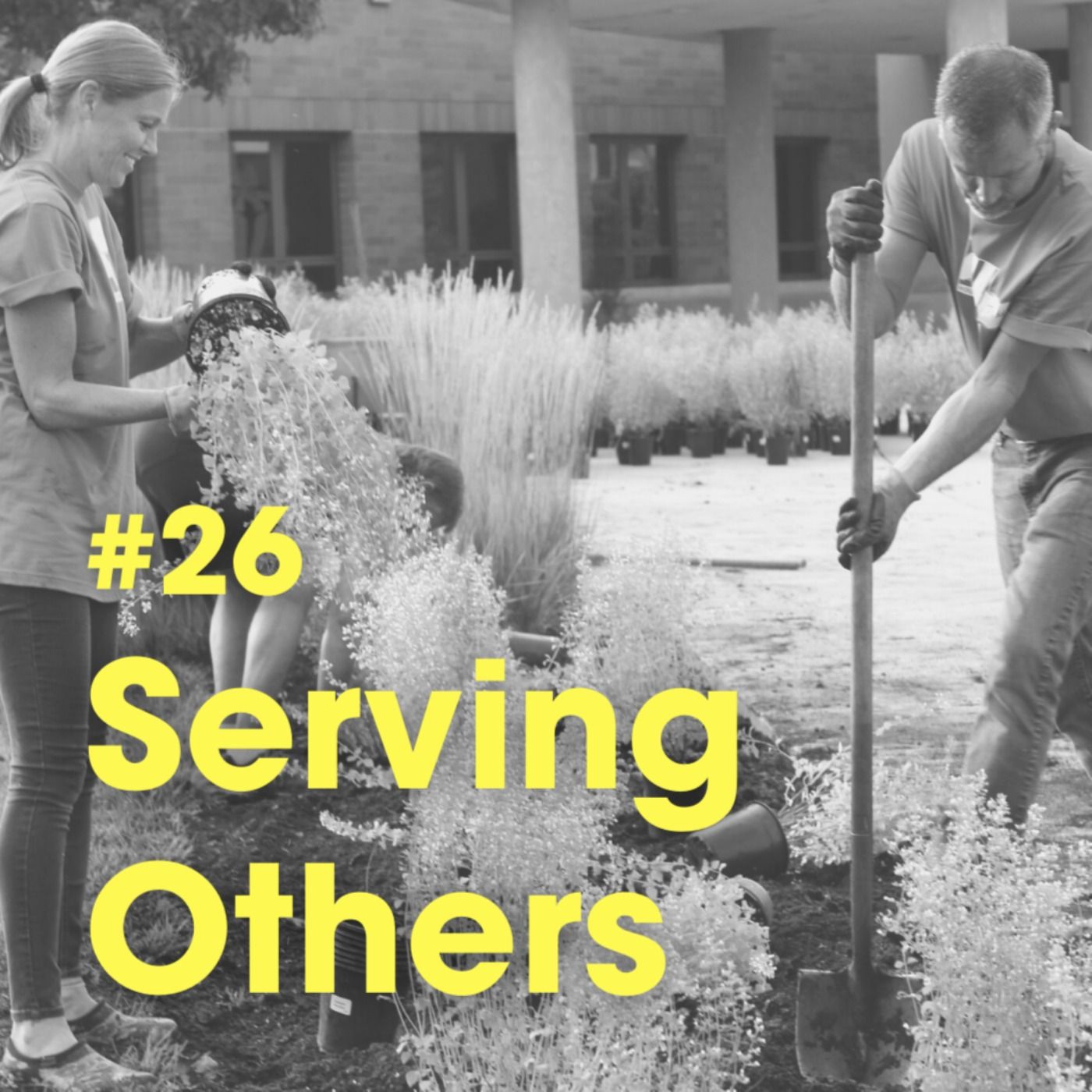 Ep #26 - Serving Others, The Fifth Pillar of Lifefulness episode artwork