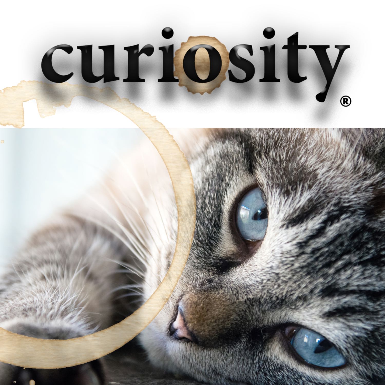 lifelist.us cover art