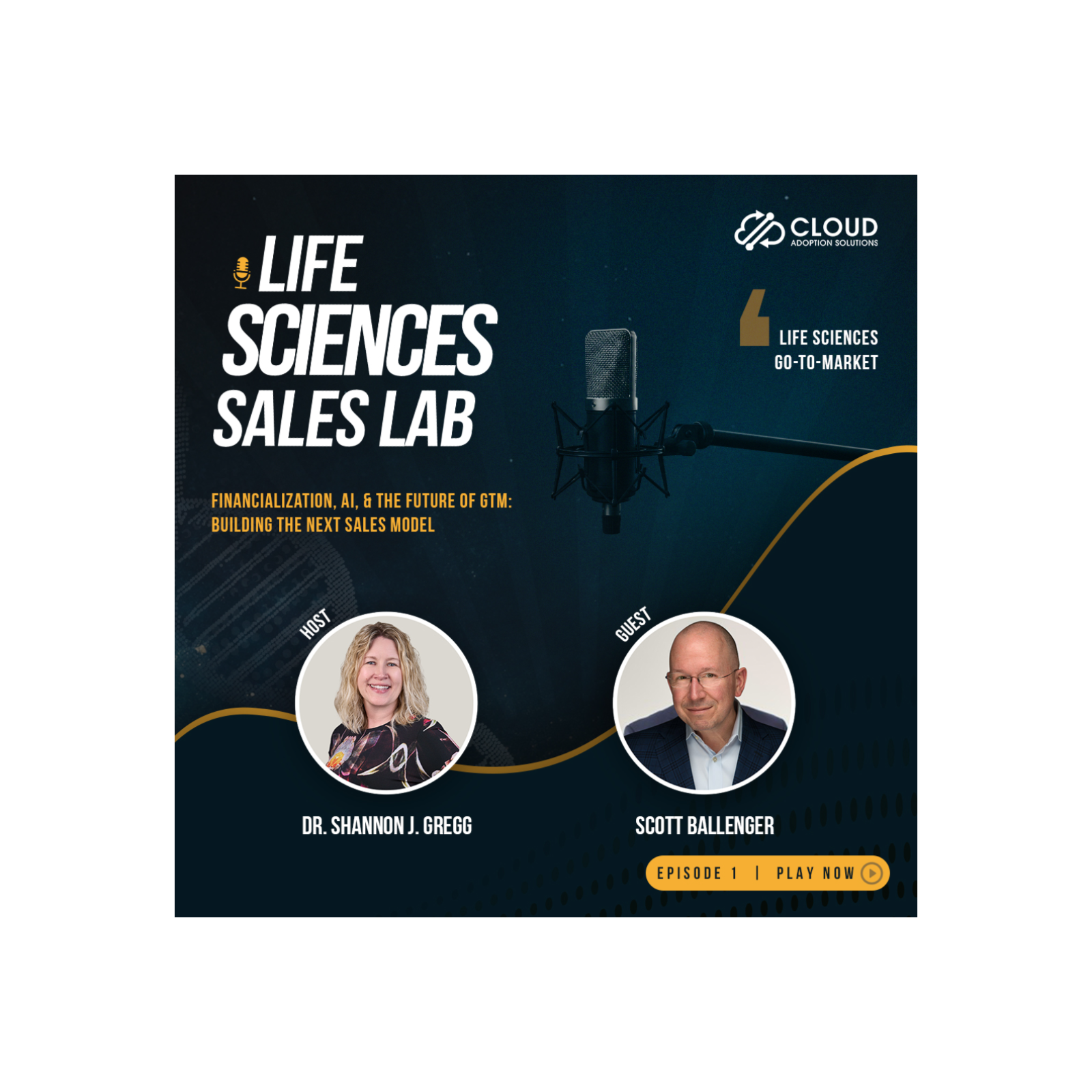 Financialization, AI, and the Future of GTM: Building the Next Sales Model episode artwork