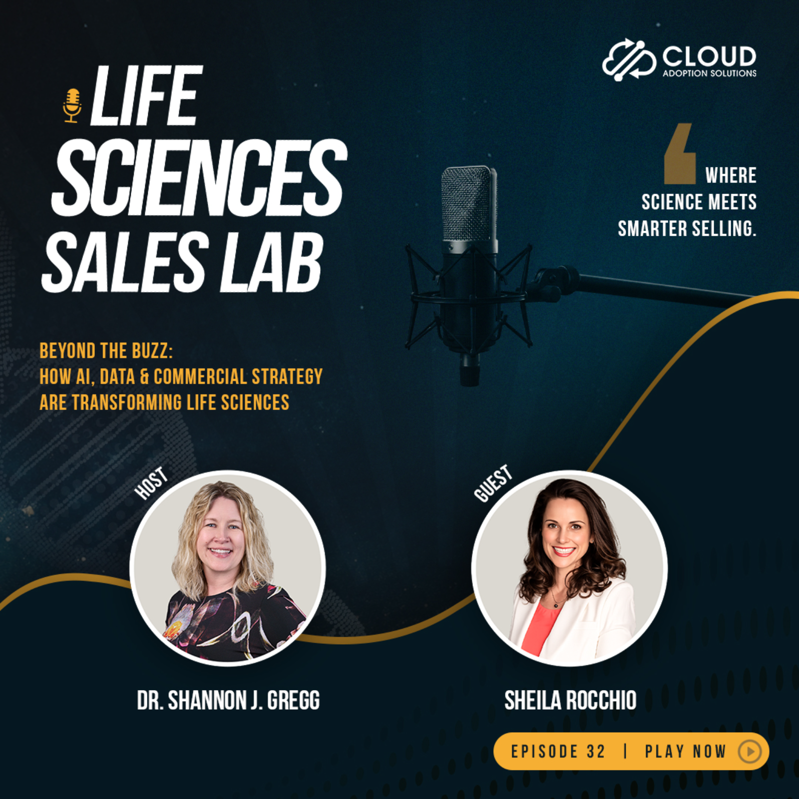 Beyond the Buzz: How AI, Data & Commercial Strategy Are Transforming Life Sciences with Sheila Rocchio episode artwork