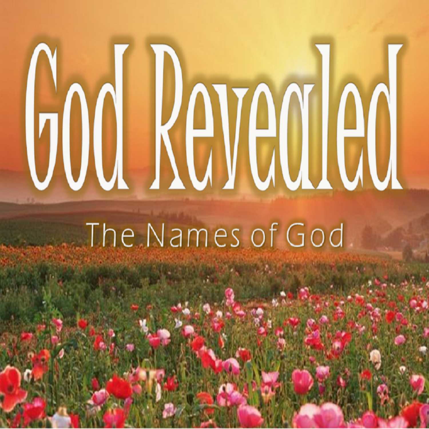 God Revealed - PT 4