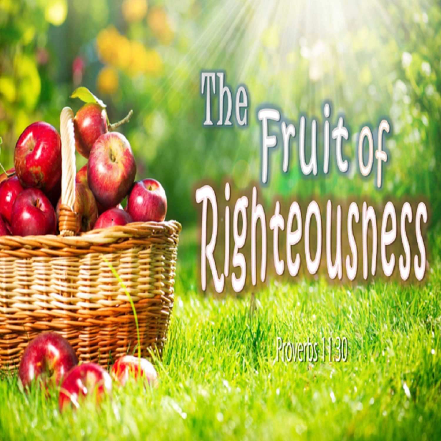 The Fruit of Righteousness