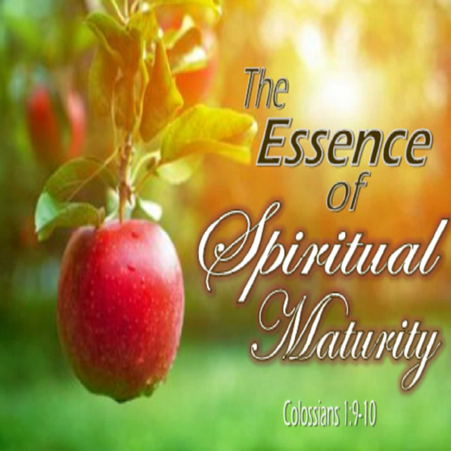 The Essence of Spiritual Maturity - PT 7