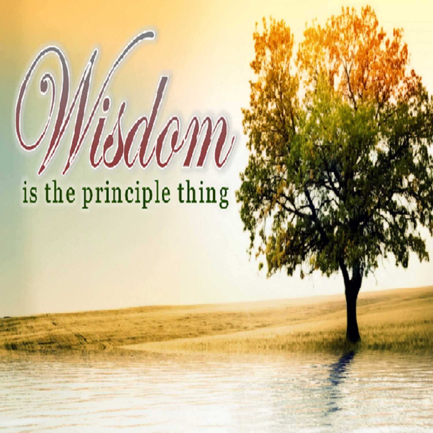 WISDOM Is the Principle Thing - PT  4