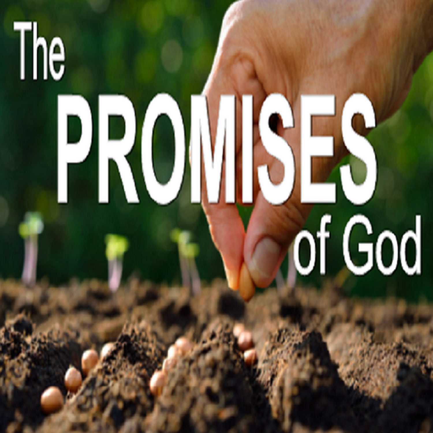 The Promises of God - PT 1
