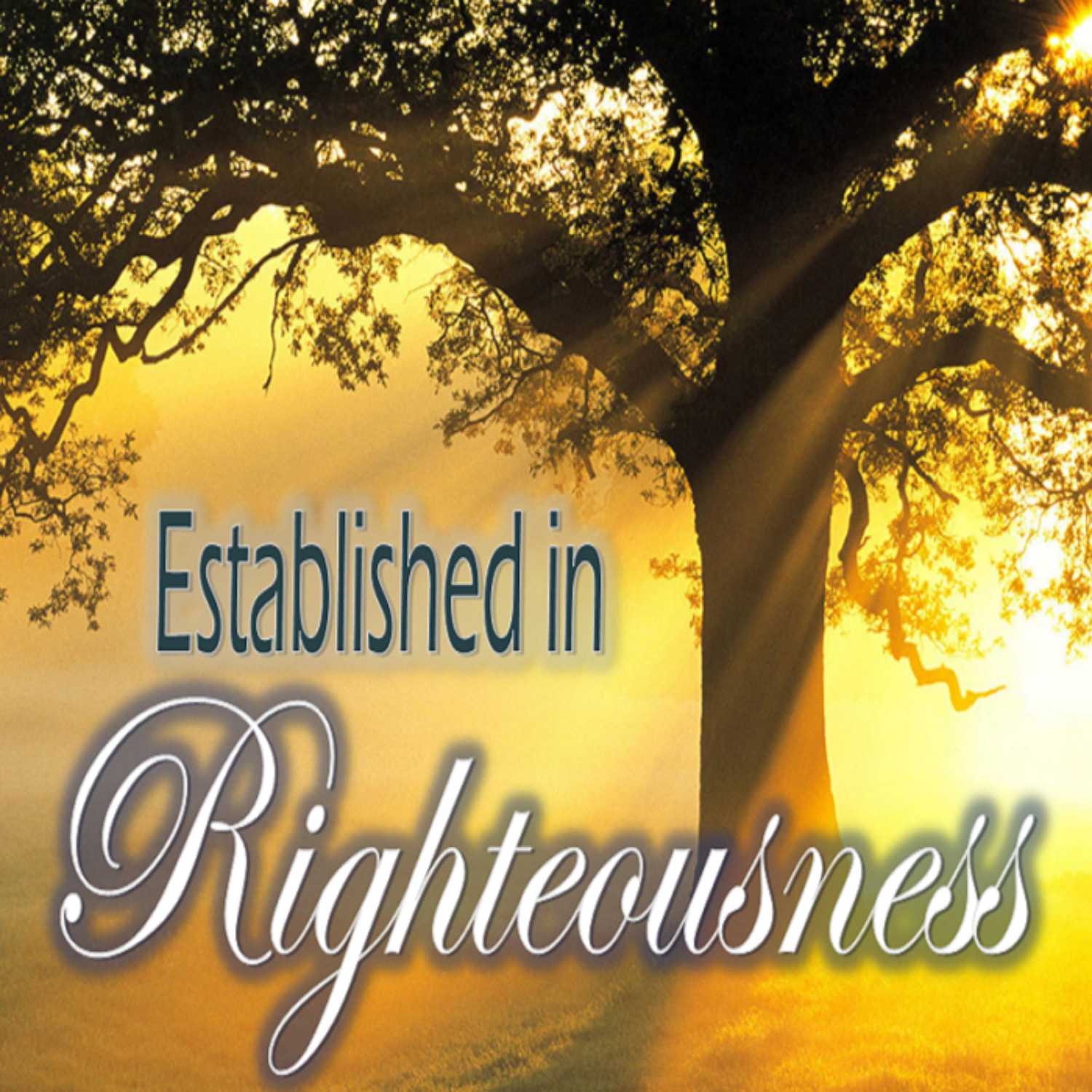 Established in Righteousness - PT 10