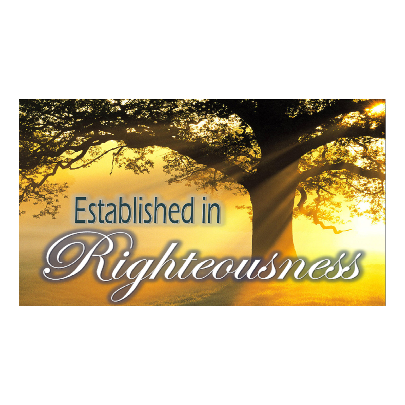 Established in Righteousness - PT 14