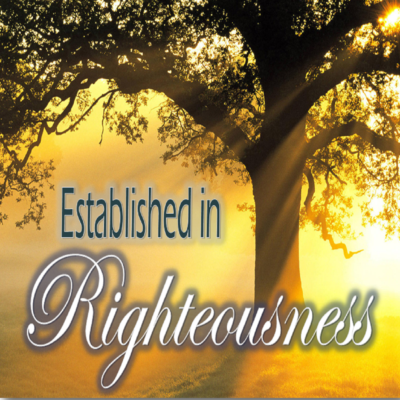 Established in Righteousness - PT 16