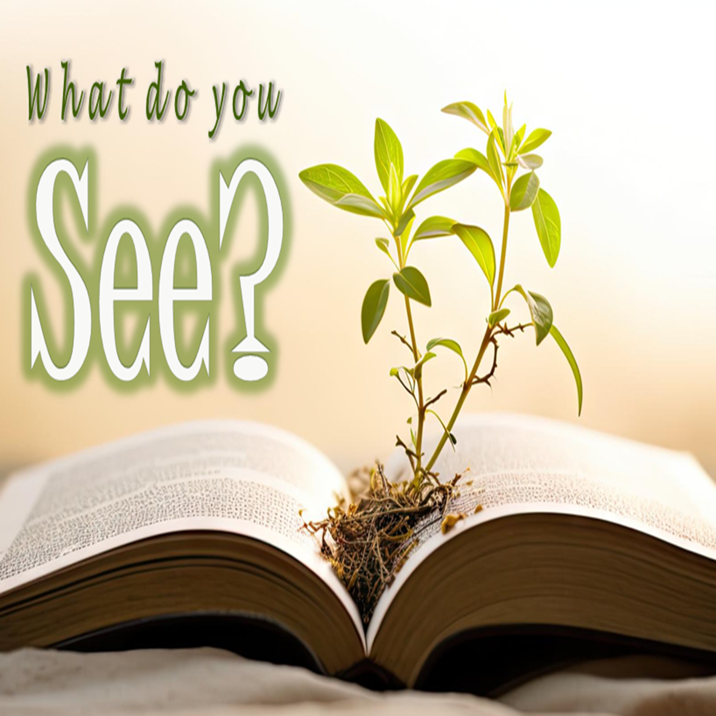 What Do You See? - PT 2