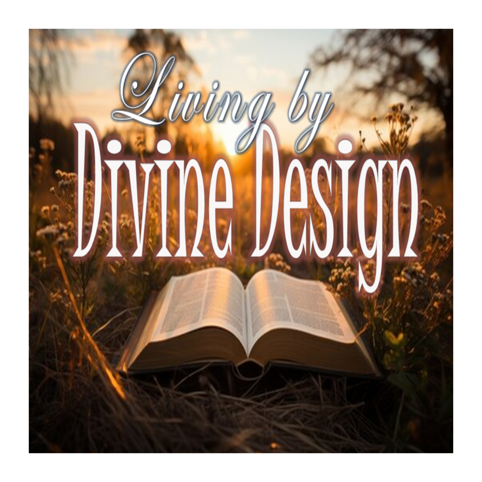 Living by Divine Design - PT 1