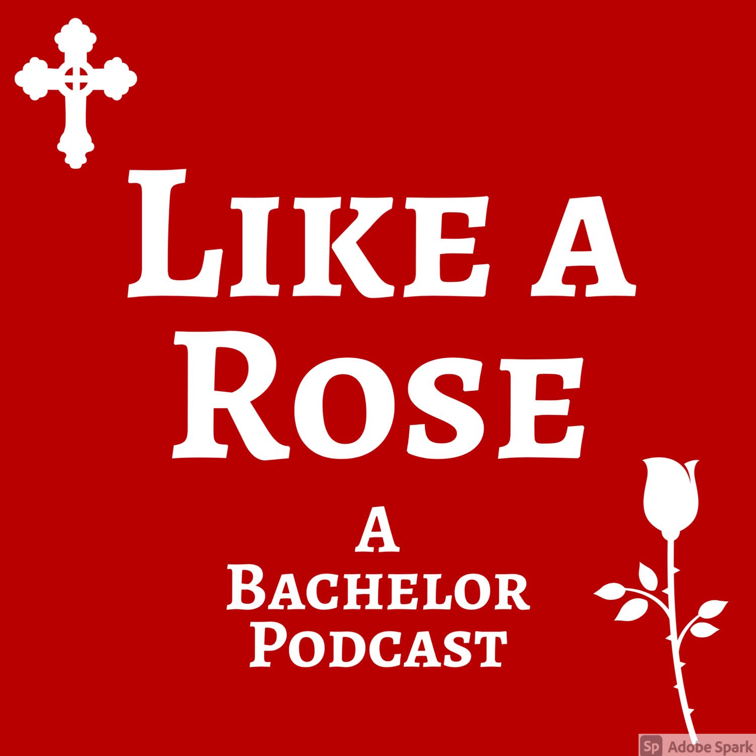 Like a Rose: A Bachelor Podcast