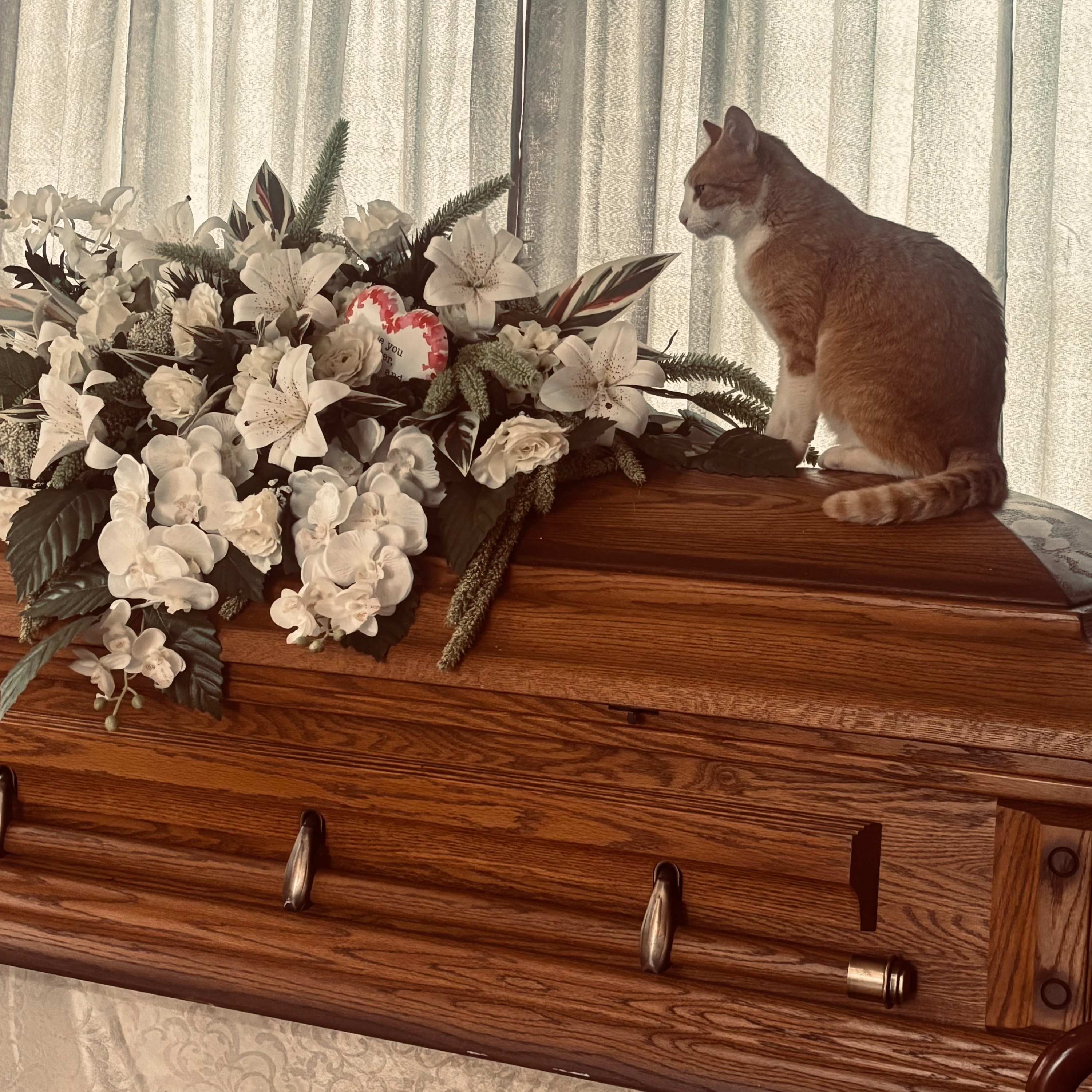 Lil Bit Dead
