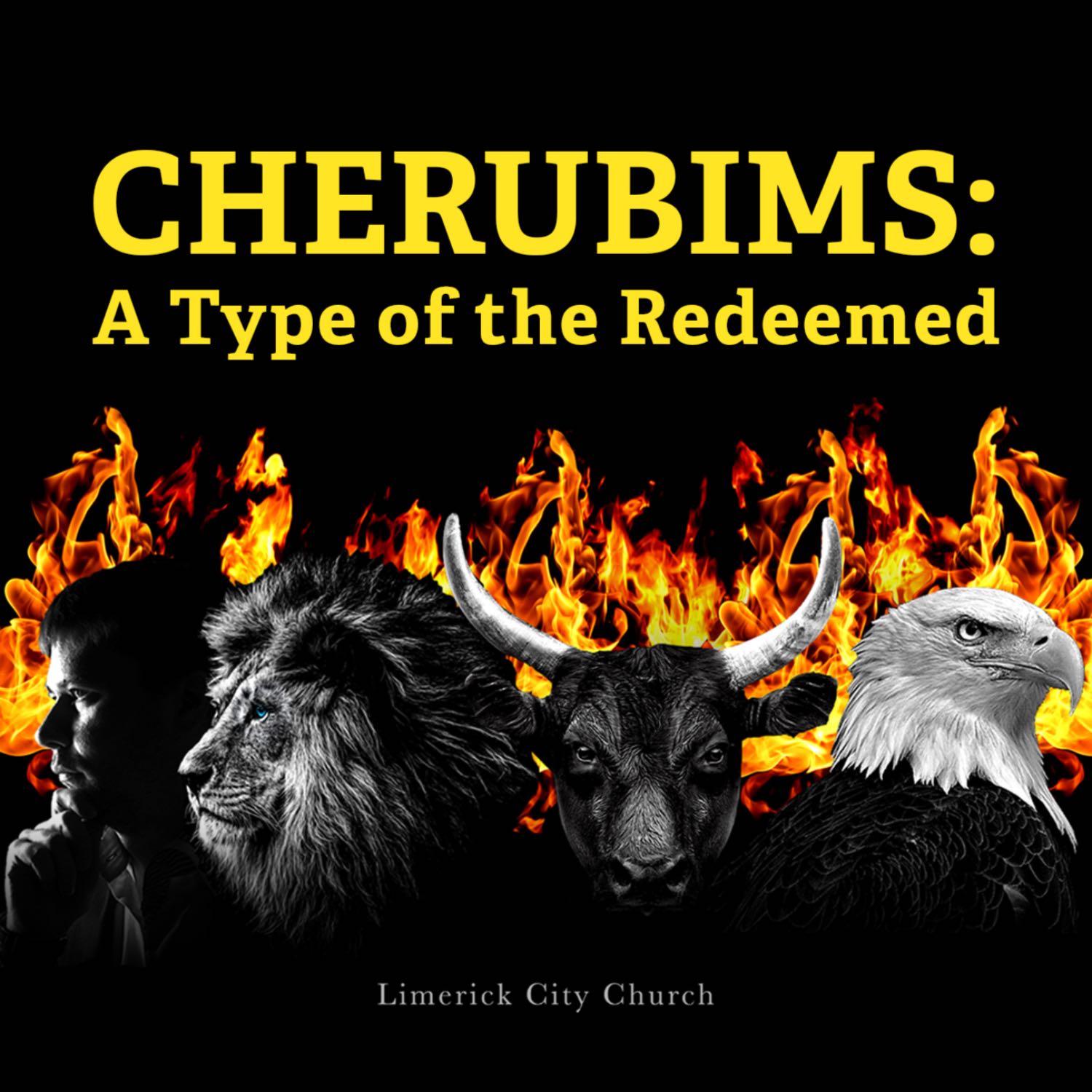 Limerick City Church