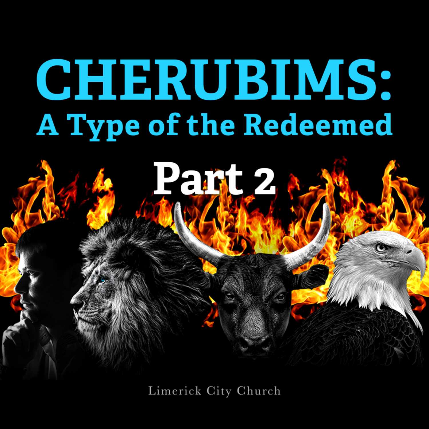 Limerick City Church